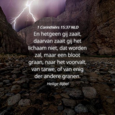 Picture 04 - 1 Corinthiërs 15:37 NLD - En hetgeen gij zaait, daarvan zaait gij het - Bible Verse Picture