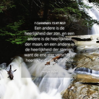 Picture 04 - 1 Corinthiërs 15:41 NLD - Een andere is de heerlijkheid der zon, en een - Bible Verse Picture