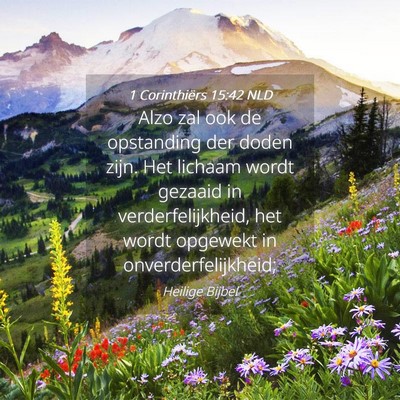 Picture 04 - 1 Corinthiërs 15:42 NLD - Alzo zal ook de opstanding der doden zijn. Het - Bible Verse Picture
