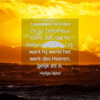 Picture 04 - 1 Corinthiërs 16:10 NLD - Zo nu Timotheus komt, ziet, dat hij buiten vreze - Bible Verse Picture