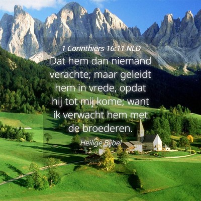 Picture 04 - 1 Corinthiërs 16:11 NLD - Dat hem dan niemand verachte; maar geleidt hem in - Bible Verse Picture