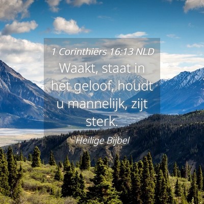 Picture 04 - 1 Corinthiërs 16:13 NLD - Waakt, staat in het geloof, houdt u mannelijk, - Bible Verse Picture