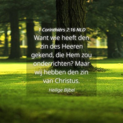 Picture 04 - 1 Corinthiërs 2:16 NLD - Want wie heeft den zin des Heeren gekend, die Hem - Bible Verse Picture