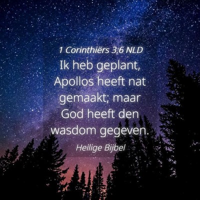 Picture 04 - 1 Corinthiërs 3:6 NLD - Ik heb geplant, Apollos heeft nat gemaakt; maar - Bible Verse Picture