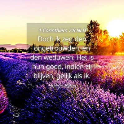 Picture 04 - 1 Corinthiërs 7:8 NLD - Doch ik zeg den ongetrouwden, en den weduwen: Het - Bible Verse Picture