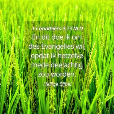 Picture 04 - 1 Corinthiërs 9:23 NLD - En dit doe ik om des Evangelies wil, opdat ik - Bible Verse Picture