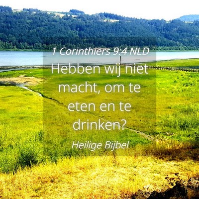 Picture 04 - 1 Corinthiërs 9:4 NLD - Hebben wij niet macht, om te eten en te - Bible Verse Picture