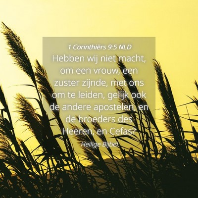 Picture 04 - 1 Corinthiërs 9:5 NLD - Hebben wij niet macht, om een vrouw, een zuster - Bible Verse Picture