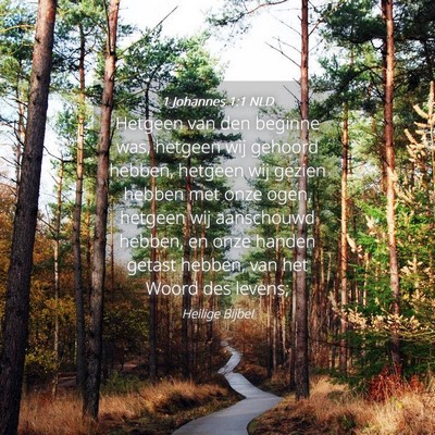 Picture 04 - 1 Johannes 1:1 NLD - Hetgeen van den beginne was, hetgeen wij gehoord - Bible Verse Picture