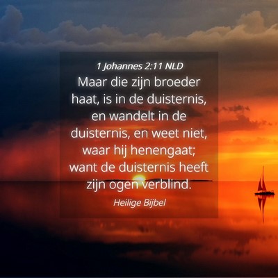 Picture 04 - 1 Johannes 2:11 NLD - Maar die zijn broeder haat, is in de duisternis, - Bible Verse Picture
