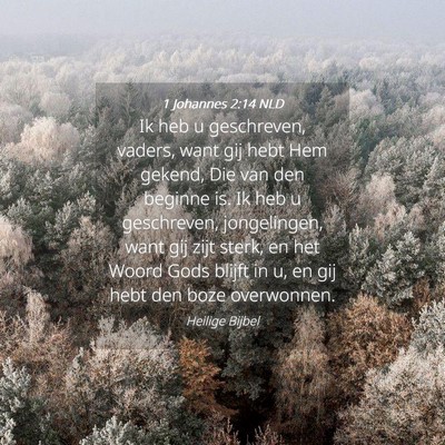 Picture 04 - 1 Johannes 2:14 NLD - Ik heb u geschreven, vaders, want gij hebt Hem - Bible Verse Picture