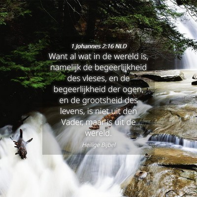 Picture 04 - 1 Johannes 2:16 NLD - Want al wat in de wereld is, namelijk de - Bible Verse Picture