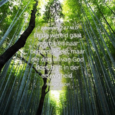 Picture 04 - 1 Johannes 2:17 NLD - En de wereld gaat voorbij, en haar - Bible Verse Picture