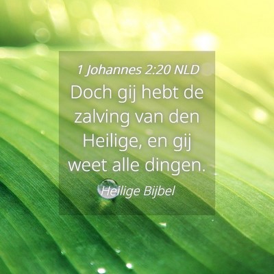 Picture 04 - 1 Johannes 2:20 NLD - Doch gij hebt de zalving van den Heilige, en gij - Bible Verse Picture