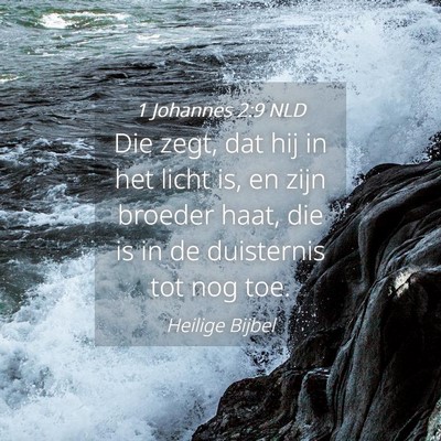 Picture 04 - 1 Johannes 2:9 NLD - Die zegt, dat hij in het licht is, en zijn - Bible Verse Picture