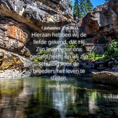 Picture 04 - 1 Johannes 3:16 NLD - Hieraan hebben wij de liefde gekend, dat Hij Zijn - Bible Verse Picture