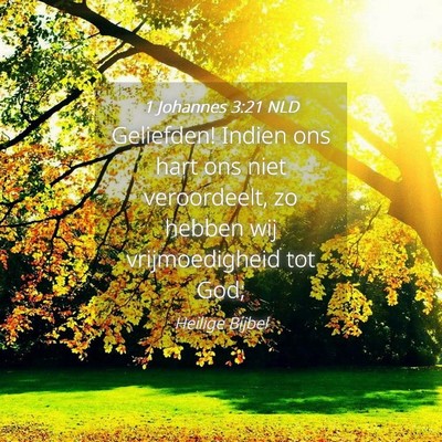 Picture 04 - 1 Johannes 3:21 NLD - Geliefden! Indien ons hart ons niet veroordeelt, - Bible Verse Picture
