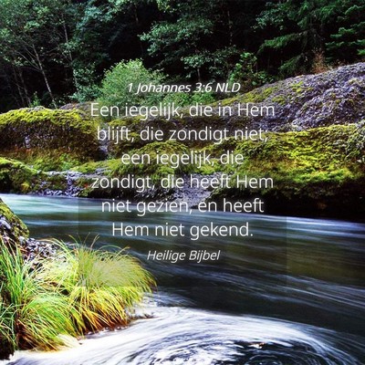 Picture 04 - 1 Johannes 3:6 NLD - Een iegelijk, die in Hem blijft, die zondigt - Bible Verse Picture