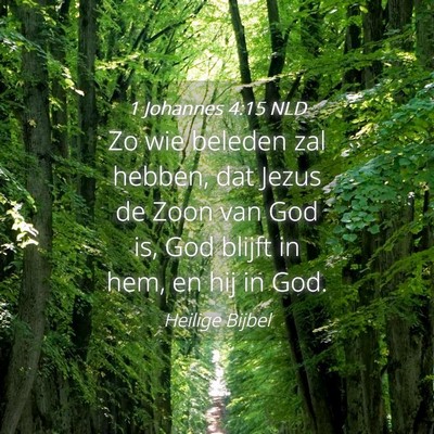 Picture 04 - 1 Johannes 4:15 NLD - Zo wie beleden zal hebben, dat Jezus de Zoon van - Bible Verse Picture