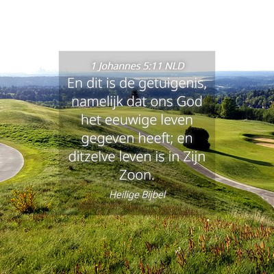 Picture 04 - 1 Johannes 5:11 NLD - En dit is de getuigenis, namelijk dat ons God het - Bible Verse Picture