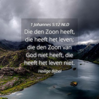 Picture 04 - 1 Johannes 5:12 NLD - Die den Zoon heeft, die heeft het leven; die den - Bible Verse Picture
