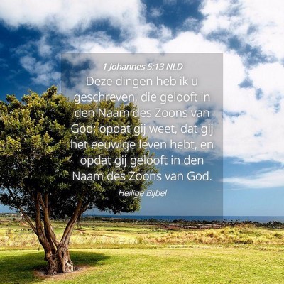 Picture 04 - 1 Johannes 5:13 NLD - Deze dingen heb ik u geschreven, die gelooft in - Bible Verse Picture