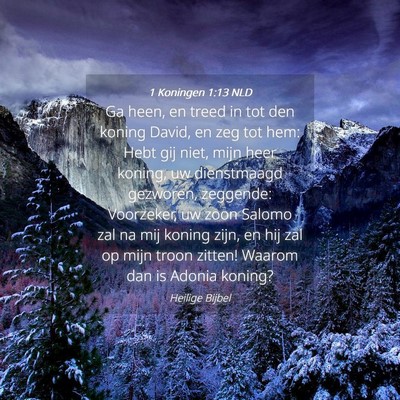 Picture 04 - 1 Koningen 1:13 NLD - Ga heen, en treed in tot den koning David, en zeg - Bible Verse Picture