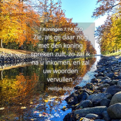 Picture 04 - 1 Koningen 1:14 NLD - Zie, als gij daar nog met den koning spreken - Bible Verse Picture