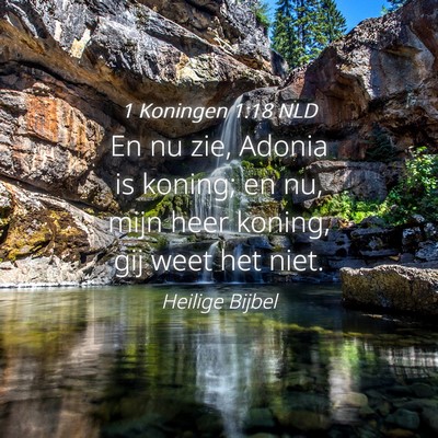 Picture 04 - 1 Koningen 1:18 NLD - En nu zie, Adonia is koning; en nu, mijn heer - Bible Verse Picture