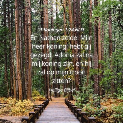 Picture 04 - 1 Koningen 1:24 NLD - En Nathan zeide: Mijn heer koning! hebt gij - Bible Verse Picture