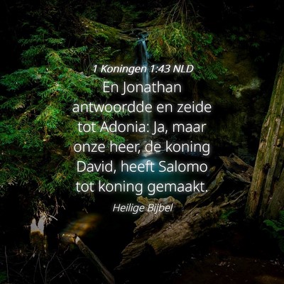 Picture 04 - 1 Koningen 1:43 NLD - En Jonathan antwoordde en zeide tot Adonia: Ja, - Bible Verse Picture