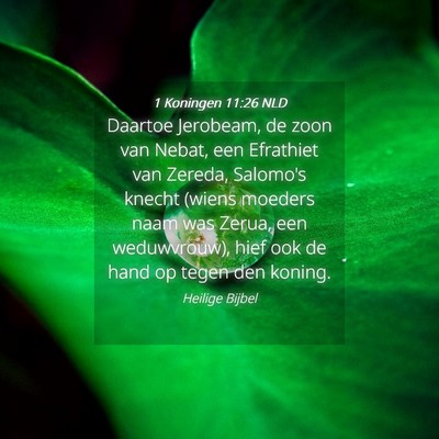 Picture 04 - 1 Koningen 11:26 NLD - Daartoe Jerobeam, de zoon van Nebat, een - Bible Verse Picture