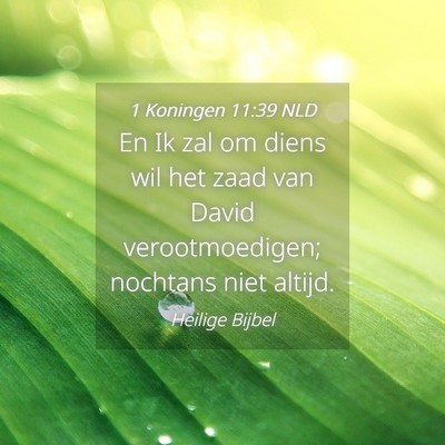 Picture 04 - 1 Koningen 11:39 NLD - En Ik zal om diens wil het zaad van David - Bible Verse Picture