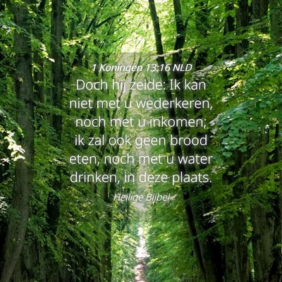 Picture 04 - 1 Koningen 13:16 NLD - Doch hij zeide: Ik kan niet met u wederkeren, - Bible Verse Picture