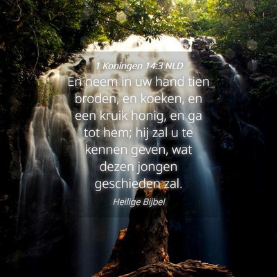 Picture 04 - 1 Koningen 14:3 NLD - En neem in uw hand tien broden, en koeken, en een - Bible Verse Picture