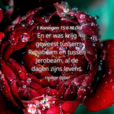 Picture 04 - 1 Koningen 15:6 NLD - En er was krijg geweest tussen Rehabeam en tussen - Bible Verse Picture