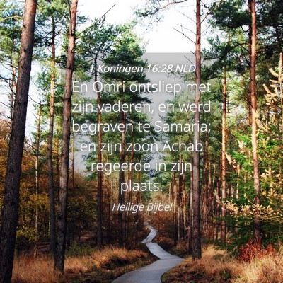 Picture 04 - 1 Koningen 16:28 NLD - En Omri ontsliep met zijn vaderen, en werd - Bible Verse Picture