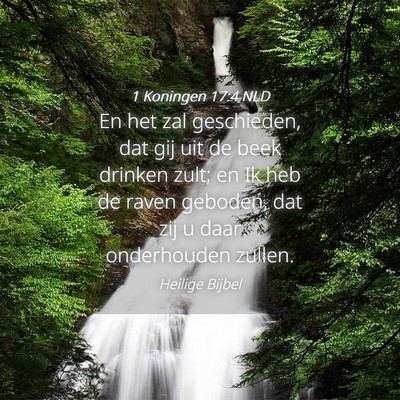 Picture 04 - 1 Koningen 17:4 NLD - En het zal geschieden, dat gij uit de beek - Bible Verse Picture
