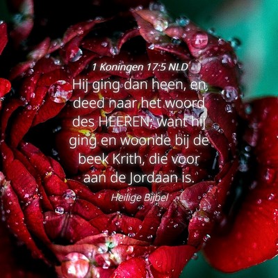 Picture 04 - 1 Koningen 17:5 NLD - Hij ging dan heen, en deed naar het woord des - Bible Verse Picture