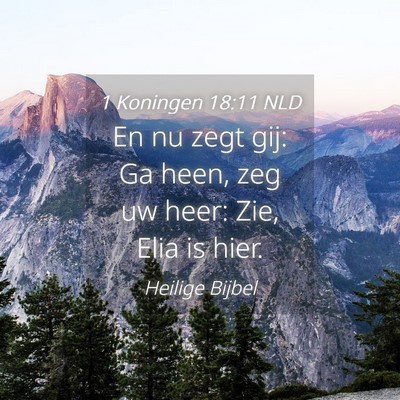 Picture 04 - 1 Koningen 18:11 NLD - En nu zegt gij: Ga heen, zeg uw heer: Zie, Elia - Bible Verse Picture