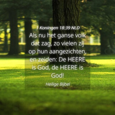 Picture 04 - 1 Koningen 18:39 NLD - Als nu het ganse volk dat zag, zo vielen zij op - Bible Verse Picture
