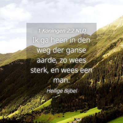 Picture 04 - 1 Koningen 2:2 NLD - Ik ga heen in den weg der ganse aarde, zo wees - Bible Verse Picture
