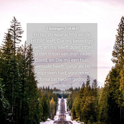 Picture 04 - 1 Koningen 2:24 NLD - En nu, zo waarachtig als de HEERE leeft, Die mij - Bible Verse Picture