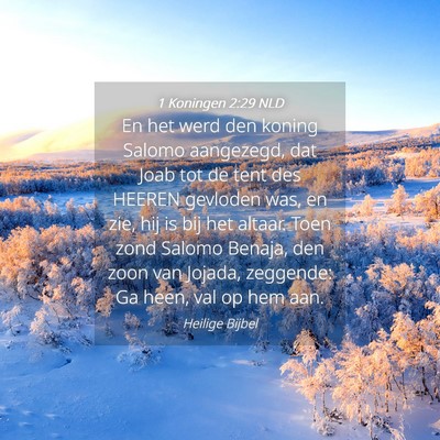 Picture 04 - 1 Koningen 2:29 NLD - En het werd den koning Salomo aangezegd, dat Joab - Bible Verse Picture