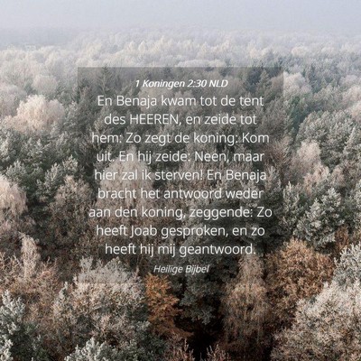 Picture 04 - 1 Koningen 2:30 NLD - En Benaja kwam tot de tent des HEEREN, en zeide - Bible Verse Picture