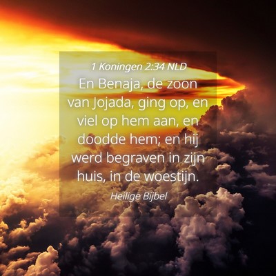 Picture 04 - 1 Koningen 2:34 NLD - En Benaja, de zoon van Jojada, ging op, en viel - Bible Verse Picture