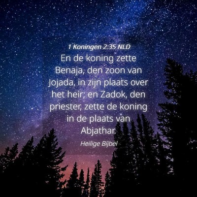 Picture 04 - 1 Koningen 2:35 NLD - En de koning zette Benaja, den zoon van Jojada, - Bible Verse Picture