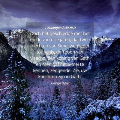 Picture 04 - 1 Koningen 2:39 NLD - Doch het geschiedde met het einde van drie jaren, - Bible Verse Picture