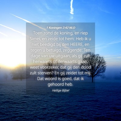 Picture 04 - 1 Koningen 2:42 NLD - Toen zond de koning, en riep Simei, en zeide tot - Bible Verse Picture