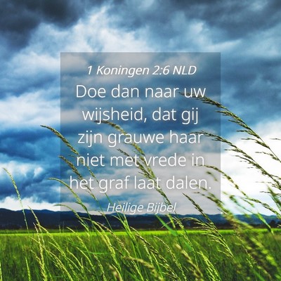 Picture 04 - 1 Koningen 2:6 NLD - Doe dan naar uw wijsheid, dat gij zijn grauwe - Bible Verse Picture